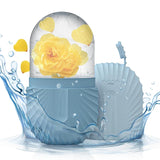 Ice Face Roller & Silicone Ice Cube Beauty Mold